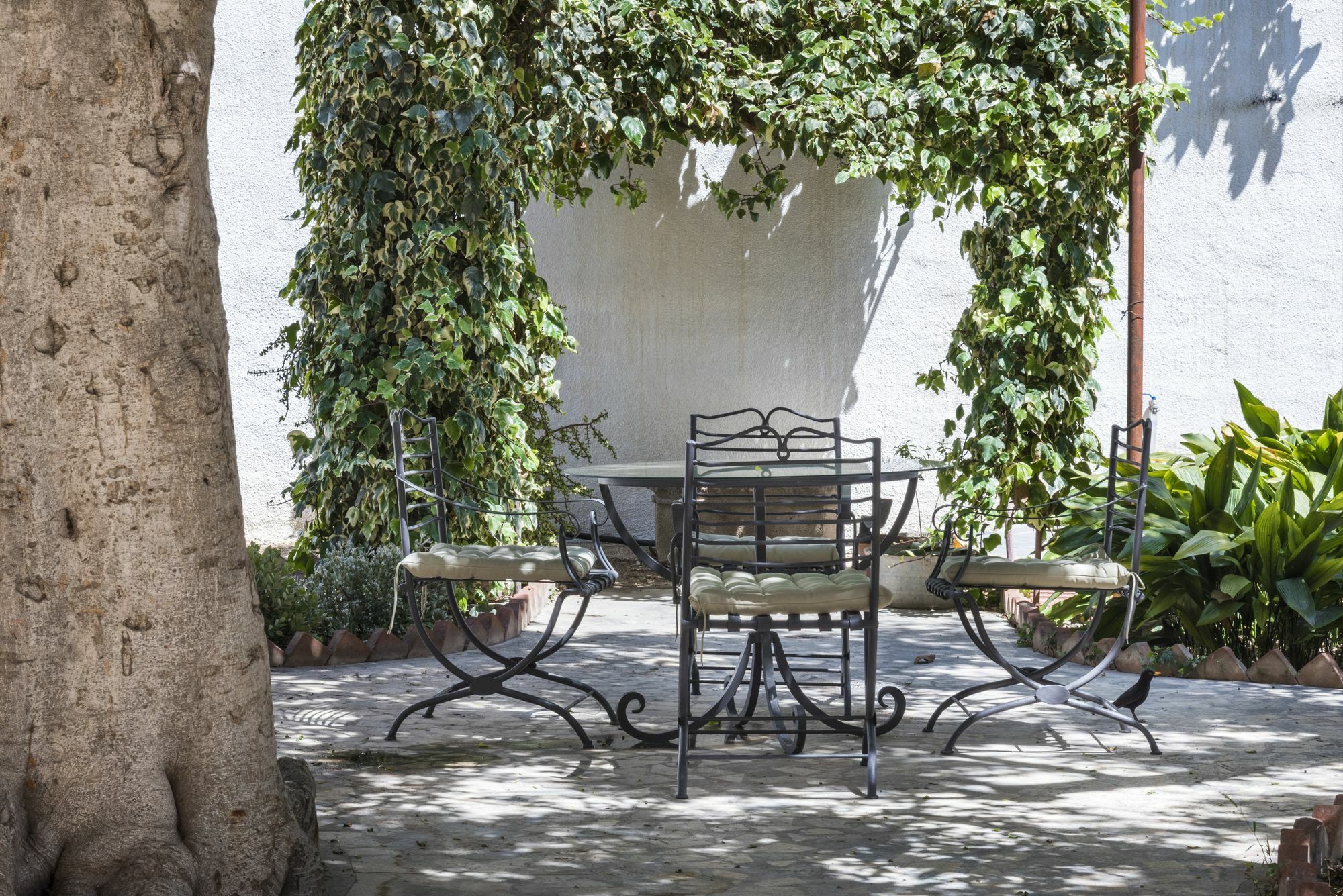 מלון טרפאני Giardini Mon Plaisir מראה חיצוני תמונה