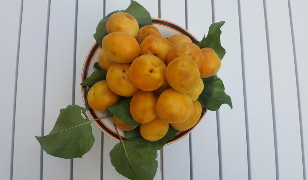 מלון טרפאני Giardini Mon Plaisir מראה חיצוני תמונה